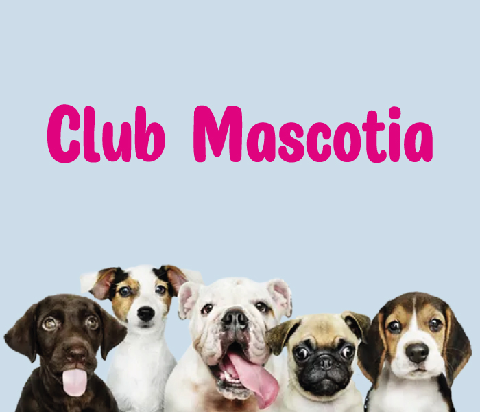 Descubre las ventajas del club Mascotia