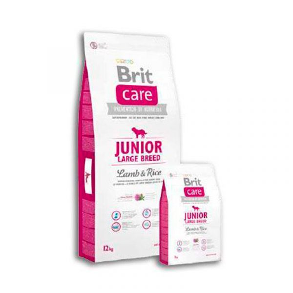 Brit-Care-Junior-Large-Breed-tienda de animales mascotia