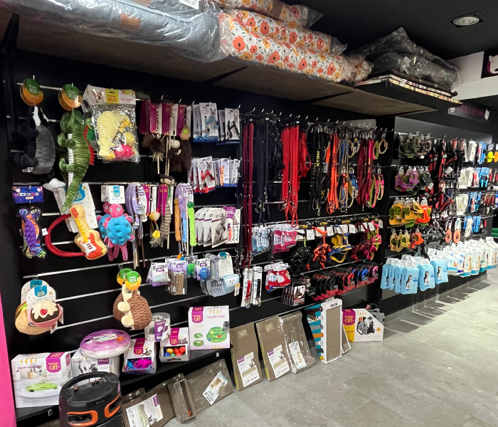 Mascotia abre sus puertas en Almansa